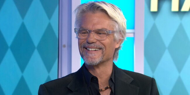 Harry Hamlin Net Worth – Biography, Career, Spouse And More