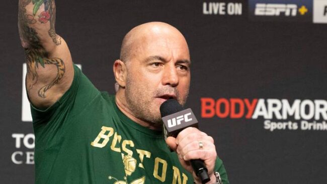 Joe Rogan Net Worth 2020